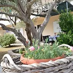 Martina Apartment Betina (Sibenik-Knin)
