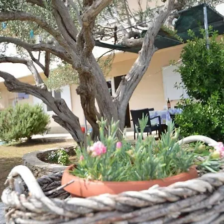 Martina Apartamento Betina (Sibenik-Knin)