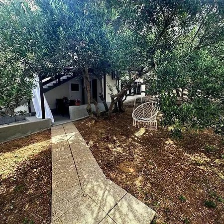 Martina * Betina (Sibenik-Knin)