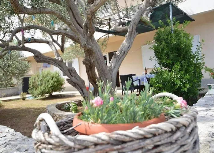 Martina Apartamento Betina (Sibenik-Knin)